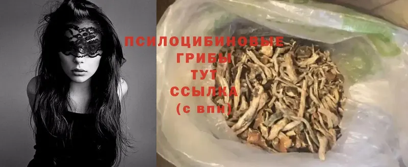 Псилоцибиновые грибы MAGIC MUSHROOMS  купить   Вятские Поляны 