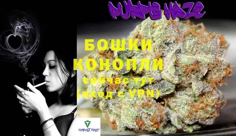 купить  цена  Вятские Поляны  Шишки марихуана конопля 